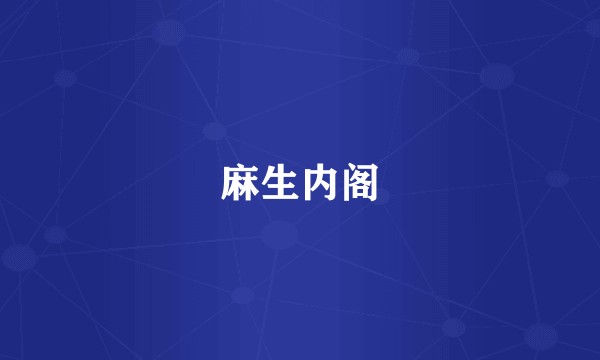 麻生内阁