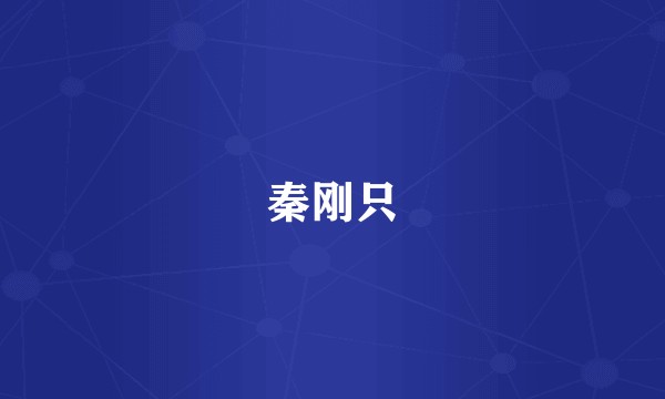 秦刚只