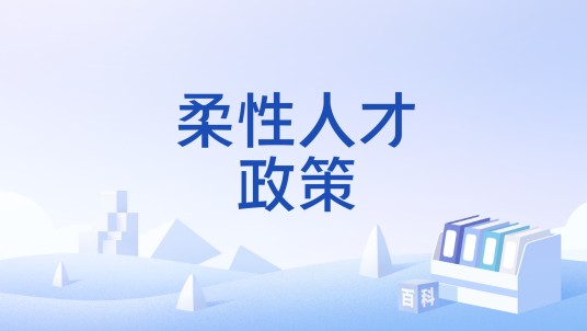 柔性人才政策