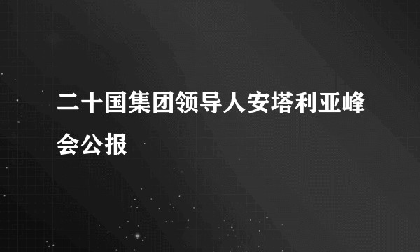 二十国集团领导人安塔利亚峰会公报