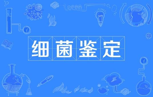 细菌鉴定