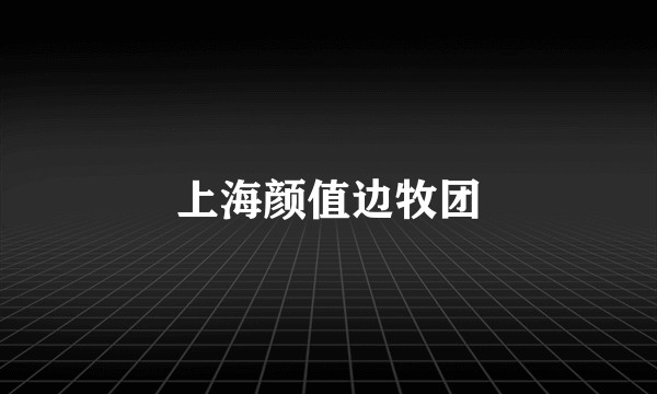 上海颜值边牧团