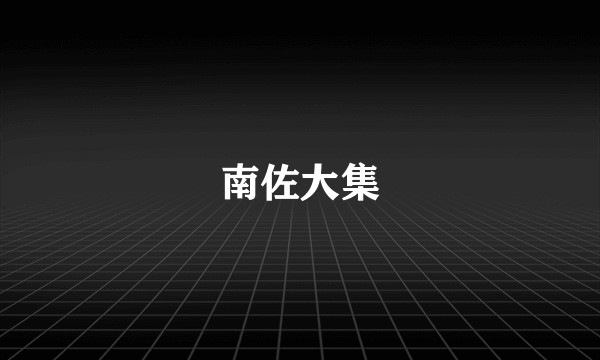 南佐大集