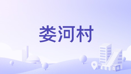 娄河村