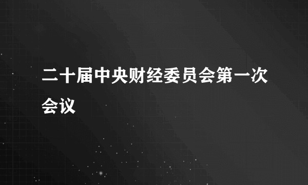 二十届中央财经委员会第一次会议