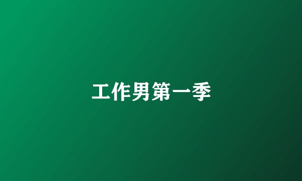 工作男第一季