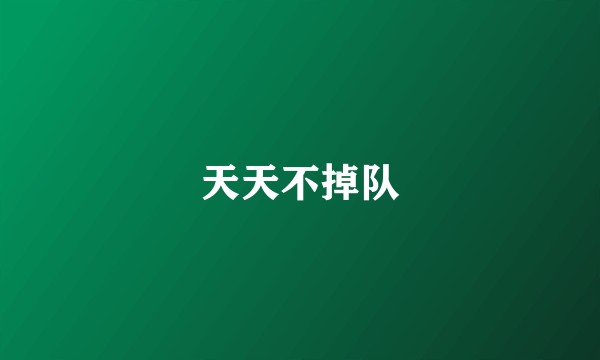 天天不掉队