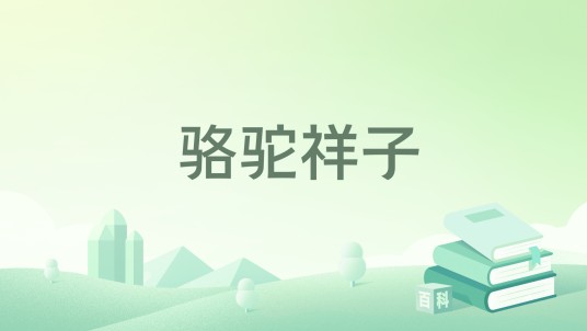 骆驼祥子（2018年青岛出版社出版的图书）
