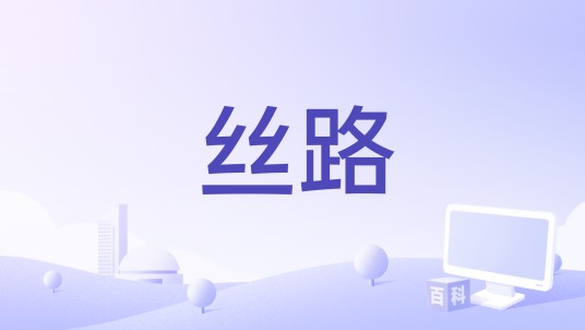 丝路（中国中央广播电视总台制作的节目）