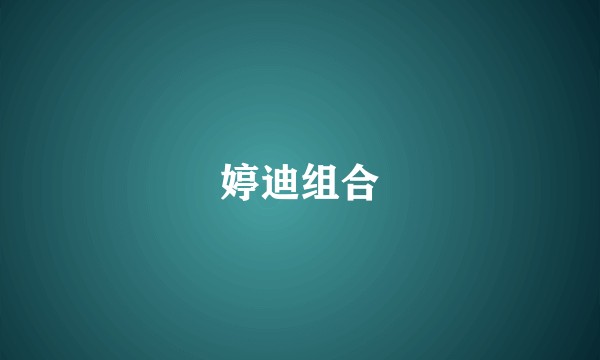 婷迪组合