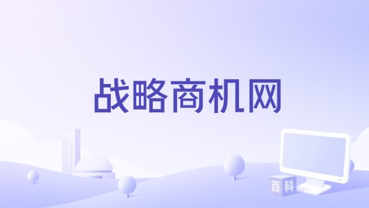 战略商机网