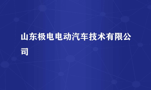 山东极电电动汽车技术有限公司