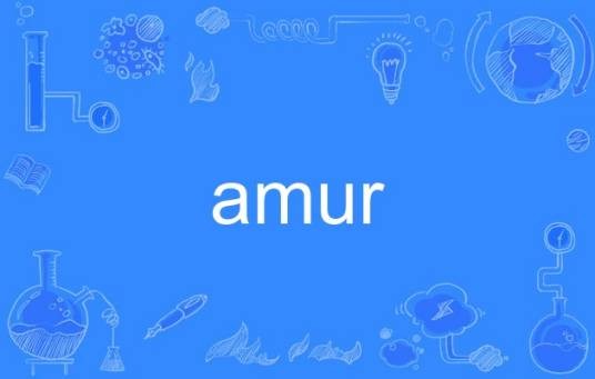 amur