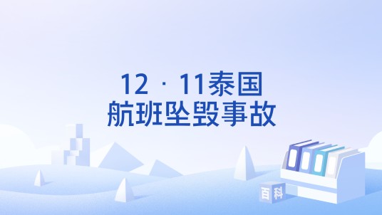 12·11泰国航班坠毁事故
