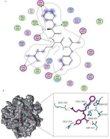 高分子合成