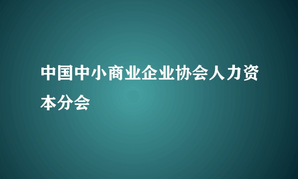 中国中小商业企业协会人力资本分会