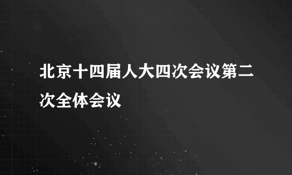 北京十四届人大四次会议第二次全体会议