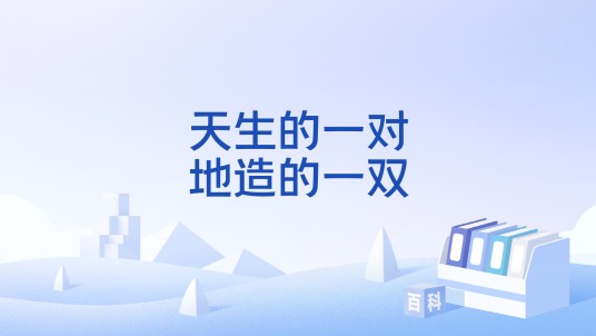 天生的一对，地造的一双