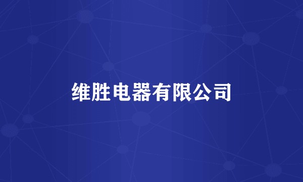 维胜电器有限公司