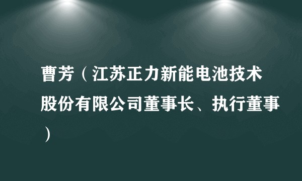 曹芳（江苏正力新能电池技术股份有限公司董事长、执行董事）