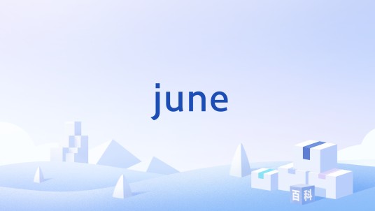 june（本地语音聊天机器人）