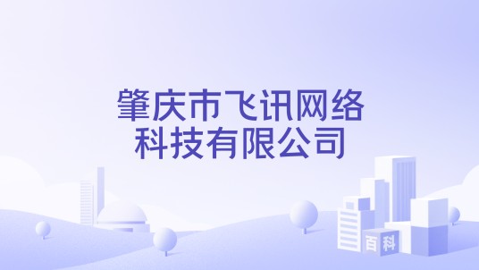 肇庆市飞讯网络科技有限公司