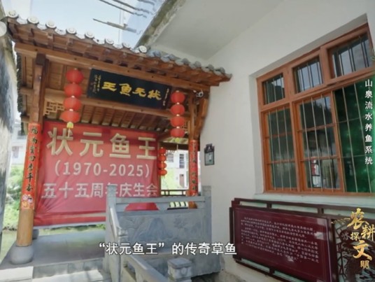状元鱼王