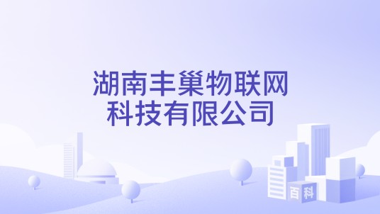 湖南丰巢物联网科技有限公司