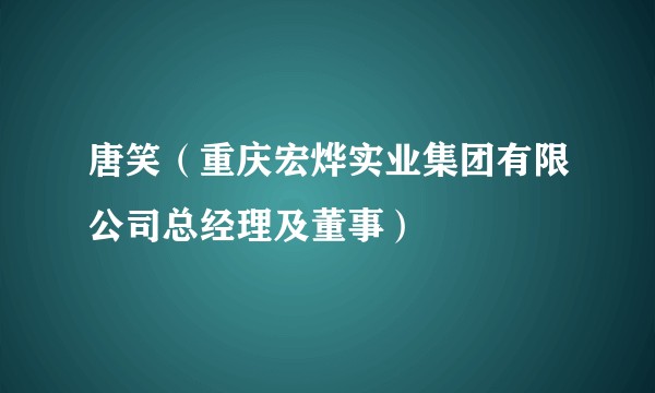 唐笑（重庆宏烨实业集团有限公司总经理及董事）