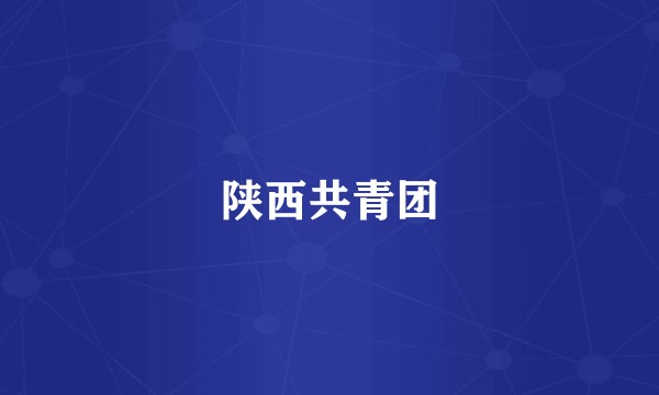 陕西共青团