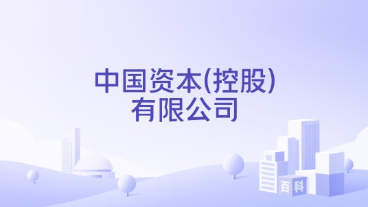 中国资本(控股)有限公司