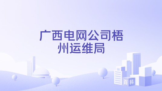 广西电网公司梧州运维局