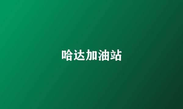 哈达加油站