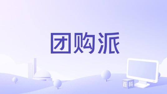 团购派