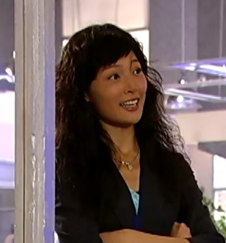 Elaine（时装电视剧《写意人生》中的角色）