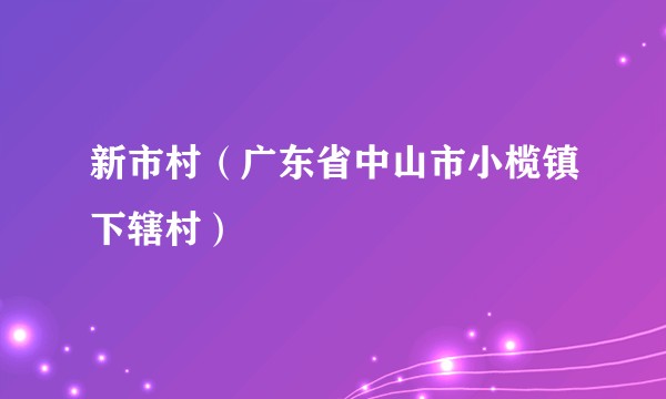 新市村（广东省中山市小榄镇下辖村）
