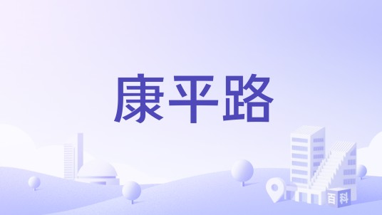 康平路（南京市境内道路）