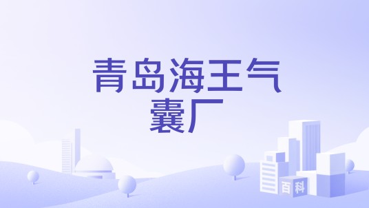 青岛海王气囊厂