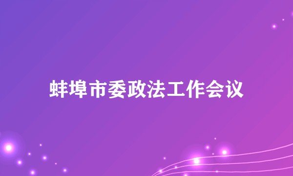 蚌埠市委政法工作会议
