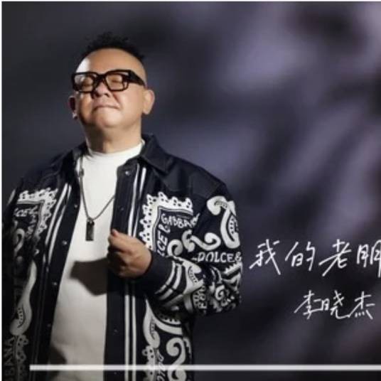 我的老朋友（李晓杰演唱的歌曲）