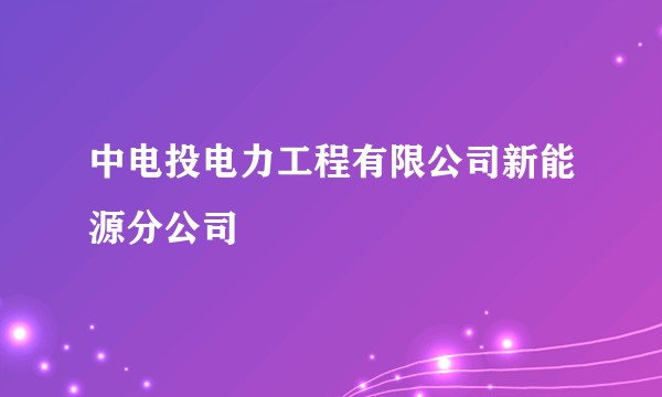 中电投电力工程有限公司新能源分公司
