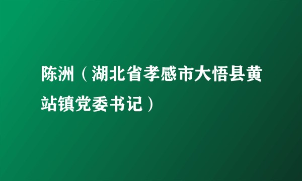 陈洲（湖北省孝感市大悟县黄站镇党委书记）