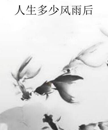人生多少风雨后