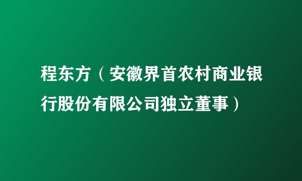 程东方（安徽界首农村商业银行股份有限公司独立董事）