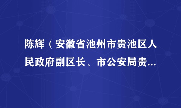 陈辉（安徽省池州市贵池区人民政府副区长、市公安局贵池分局党委书记、局长、四级高级警长）