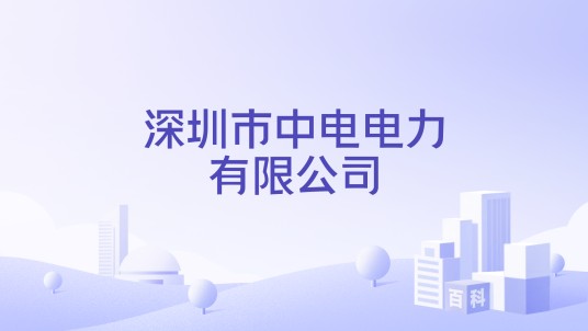深圳市中电电力有限公司