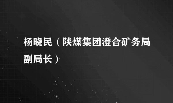 杨晓民（陕煤集团澄合矿务局副局长）
