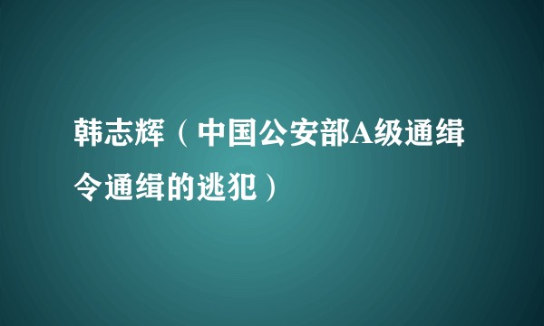 韩志辉（中国公安部A级通缉令通缉的逃犯）