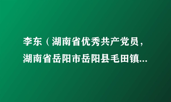 李东（湖南省优秀共产党员，湖南省岳阳市岳阳县毛田镇应急办原主任）