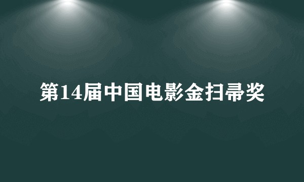 第14届中国电影金扫帚奖